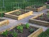 pictures of Raised Bed Frames Garden