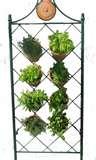 pictures of Raising Bed Frame Garden pictures of Raising Bed Frame Garden