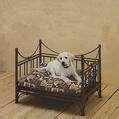 Bed Frames Furniture pictures Bed Frames Furniture pictures