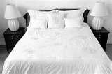 pictures of How To Build A Bed Frame Plywood pictures of How To Build A Bed Frame Plywood