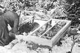photos of Bed Frame Vietnam photos of Bed Frame Vietnam