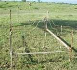 photos of Bed Frames Tx photos of Bed Frames Tx